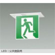 画像1: 大光電機(DAIKO) DEG-42559 防災照明 誘導灯 非調光 LED内蔵 本体 公共施設用 天井埋込形(片面形) C級(10形) プレート別売 (1)