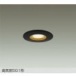 画像1: 大光電機(DAIKO) DOL-6273YBG ダウンライト 埋込穴φ75 調光(調光器別売) 電球色 LED ランプ付 軒下用 高気密SG1形 サーマルプロテクタ付 防雨形 ブラック (1)
