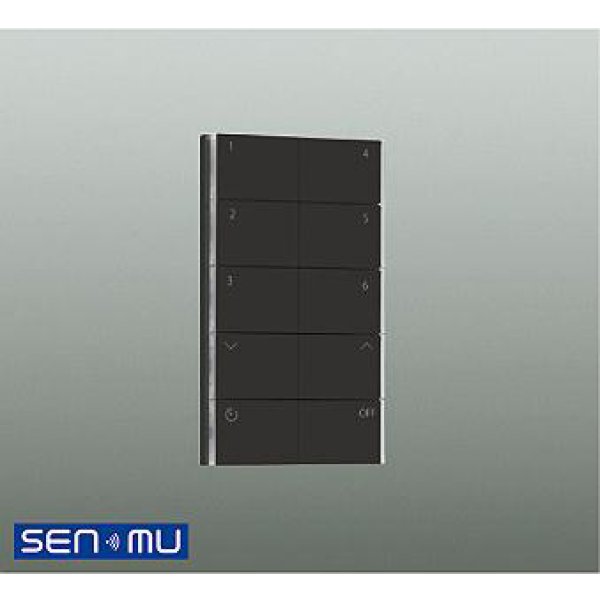 画像1: 大光電機(DAIKO) DP-41925BE 部材 シーンコントローラー ブラック (1)