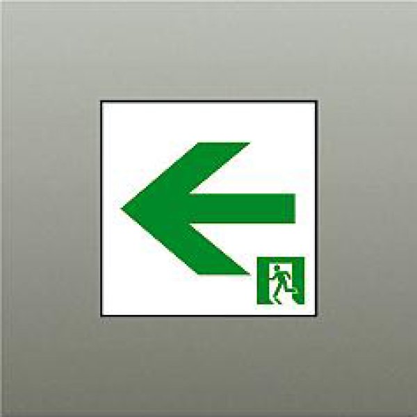 画像1: 大光電機(DAIKO) DP-42562 防災照明 誘導灯 天井埋込形用パネル C級(10形) 本体別売 (1)