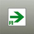 画像1: 大光電機(DAIKO) DP-42563 防災照明 誘導灯 天井埋込形用パネル C級(10形) 本体別売 (1)