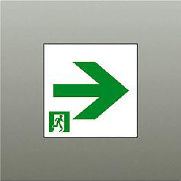 画像1: 大光電機(DAIKO) DP-42563 防災照明 誘導灯 天井埋込形用パネル C級(10形) 本体別売 (1)