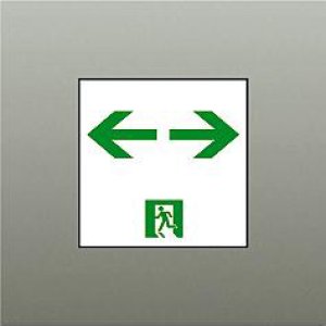 画像: 大光電機(DAIKO) DP-42564 防災照明 誘導灯 天井埋込形用パネル C級(10形) 本体別売