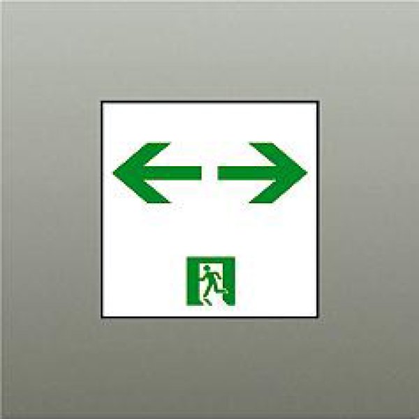 画像1: 大光電機(DAIKO) DP-42564 防災照明 誘導灯 天井埋込形用パネル C級(10形) 本体別売 (1)