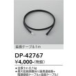 画像2: 大光電機(DAIKO) DP-42767 部材 延長用ケーブル 1m 防雨形 (2)