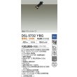 画像2: 大光電機(DAIKO) DSL-5732YBG スポットライト 調光(調光器別売) 電球色 LED ランプ付 天井埋込専用 フランジタイプ ブラック (2)