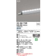 画像2: オーデリック OG254773R 間接照明 LED一体型 非調光 昼白色 ライン 屋外用 スタンダードタイプ 電源ケーブル別売 (2)
