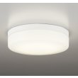 画像1: オーデリック OW269034LR1 エクステリアライト ポーチライト LEDランプ 電球色 高演色LED 防雨・防湿型 ホワイト (1)
