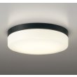 画像1: オーデリック OW269035LR1 エクステリアライト ポーチライト LEDランプ 電球色 高演色LED 防雨・防湿型 ブラック (1)