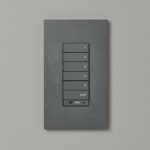 画像: オーデリック LC631A コネクテッドライティング コネクテッドスイッチ シーン切替 グレー