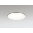 画像1: オーデリック OD361862R ダウンライト 埋込穴φ100 LED一体型 調光(調光器別売) 電球色 S形 高気密SB形 高演色LED 防雨型 オフホワイト (1)