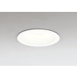 画像1: オーデリック OD361868R ダウンライト 埋込穴φ100 LED一体型 調光(調光器別売) 電球色 S形 高気密SB形 高演色LED 防雨型 オフホワイト (1)