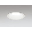 画像1: オーデリック OD361888R ダウンライト 埋込穴φ125 LED一体型 調光(調光器別売) 昼白色 S形 高気密SB形 高演色LED 防雨型 オフホワイト (1)