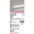画像2: オーデリック OG254965R 間接照明 LED一体型 非調光 電球色 ライン 屋外用 スタンダードタイプ ドットレス 防雨・防湿型 電源ケーブル別売 (2)