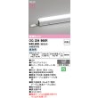 画像2: オーデリック OG254966R 間接照明 LED一体型 非調光 昼白色 ライン 屋外用 スタンダードタイプ ドットレス 防雨・防湿型 電源ケーブル別売 (2)
