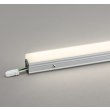 画像1: オーデリック OG254971R 間接照明 LED一体型 非調光 電球色 ライン 屋外用 スタンダードタイプ ドットレス 防雨・防湿型 電源ケーブル別売 (1)