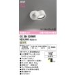 画像2: オーデリック OG264026WR1 エクステリアライト スポットライト LEDランプ 温白色 高演色LED コーキングレス型 防雨型 オフホワイト (2)
