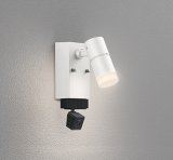 画像: オーデリック OG264228R1 エクステリアライト スポットライト LED一体型 電球色 高演色LED 顔識別カメラ付 コーキングレス型 防雨型 オフホワイト