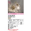 画像2: オーデリック OG264239LCR1 エクステリアライト ポーチライト LEDランプ 電球色 高演色LED コーキングレス型 防雨型 サテンゴールド (2)