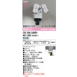 画像2: オーデリック OG264248R1 エクステリアライト スポットライト LED一体型 昼白色 高演色LED 顔識別カメラ付 コーキングレス型 防雨型 マットシルバー (2)