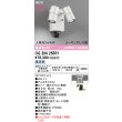 画像2: オーデリック OG264255R1 エクステリアライト スポットライト LED一体型 昼白色 高演色LED 人検知カメラ付 コーキングレス型 防雨型 オフホワイト (2)
