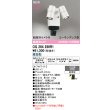 画像2: オーデリック OG264256R1 エクステリアライト スポットライト LED一体型 昼白色 高演色LED 顔識別カメラ付 コーキングレス型 防雨型 オフホワイト (2)