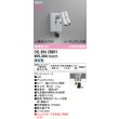 画像2: オーデリック OG264259R1 エクステリアライト スポットライト LED一体型 昼白色 高演色LED 人検知カメラ付 コーキングレス型 防雨型 マットシルバー (2)