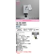画像2: オーデリック OG264260R1 エクステリアライト スポットライト LED一体型 昼白色 高演色LED 顔識別カメラ付 コーキングレス型 防雨型 マットシルバー (2)