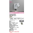 画像2: オーデリック OG264261R1 エクステリアライト スポットライト LED一体型 電球色 高演色LED 人検知カメラ付 コーキングレス型 防雨型 マットシルバー (2)