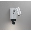 画像1: オーデリック OG264262R1 エクステリアライト スポットライト LED一体型 電球色 高演色LED 顔識別カメラ付 コーキングレス型 防雨型 マットシルバー (1)