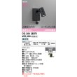 画像2: オーデリック OG264263R1 エクステリアライト スポットライト LED一体型 昼白色 高演色LED 人検知カメラ付 コーキングレス型 防雨型 ブラック (2)