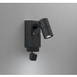 画像1: オーデリック OG264264R1 エクステリアライト スポットライト LED一体型 昼白色 高演色LED 顔識別カメラ付 コーキングレス型 防雨型 ブラック (1)