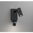 画像1: オーデリック OG264266R1 エクステリアライト スポットライト LED一体型 電球色 高演色LED 顔識別カメラ付 コーキングレス型 防雨型 ブラック (1)