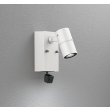 画像1: オーデリック OG264267R1 エクステリアライト スポットライト LED一体型 昼白色 高演色LED 人検知カメラ付 コーキングレス型 防雨型 オフホワイト (1)