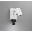 画像1: オーデリック OG264268R1 エクステリアライト スポットライト LED一体型 昼白色 高演色LED 顔識別カメラ付 コーキングレス型 防雨型 オフホワイト (1)