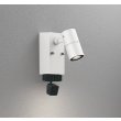 画像1: オーデリック OG264270R1 エクステリアライト スポットライト LED一体型 電球色 高演色LED 顔識別カメラ付 コーキングレス型 防雨型 オフホワイト (1)