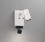 画像: オーデリック OG264270R1 エクステリアライト スポットライト LED一体型 電球色 高演色LED 顔識別カメラ付 コーキングレス型 防雨型 オフホワイト