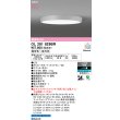 画像2: オーデリック OL291829BR シーリングライト 12畳 LED一体型 Bluetooth調光調色 高演色LED コントローラー別売 ライトグレー (2)
