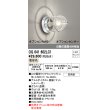 画像1: オーデリック　OG041602LC1(ランプ別梱)　エクステリア ポーチライト LEDランプ 電球色 別売センサー対応 防雨・防湿形 マットシルバー (1)