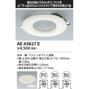 コイズミ照明 AE44897E ダウンライト 部品 φ100器具用マルチ 