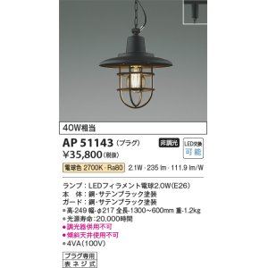 画像: コイズミ照明　AP51143　ペンダントライト 非調光 LEDランプ 電球色 プラグタイプ ブラック