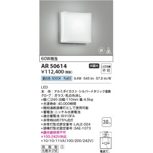 画像: コイズミ照明　AR50614　非常用照明 LED一体型 非調光 昼白色 防雨型 化粧ネジ式 シルバー