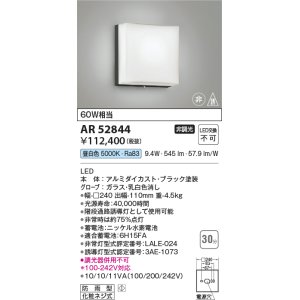 画像: コイズミ照明　AR52844　階段通路誘導灯 LED一体型 非調光 防雨型 昼白色
