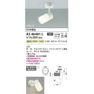 画像: コイズミ照明　AS46481L　スポットライト LED一体型 フランジタイプ 広角 温白色