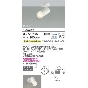 コイズミ照明 AS51741 スポットライト 非調光 LEDランプ 電球色 散光