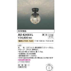 画像: コイズミ照明　AU42433L　ポーチライト 天井 調光タイプ 白熱球60W相当 LED一体型 電球色 防雨型 アンティーク