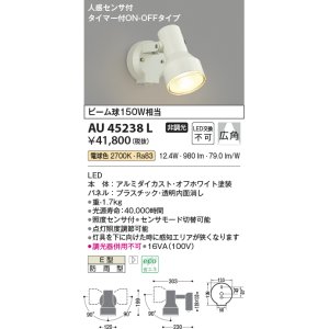 画像: コイズミ照明　AU45238L　アウトドアスポットライト 人感センサ タイマー付ON-OFFタイプ LED一体型 電球色 防雨型