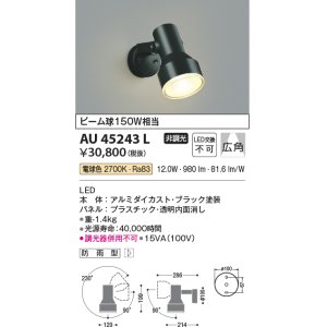 画像: コイズミ照明　AU45243L　アウトドアスポットライト LED一体型 電球色 防雨型 ブラック