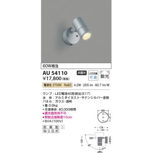 画像: コイズミ照明　AU54110　アウトドアライト 非調光 LEDランプ 電球色 防雨型 サテンシルバー [￡]