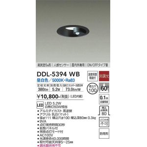 画像: 大光電機(DAIKO)　DDL-5394WB　ダウンライト LED内蔵 非調光 昼白色 高気密SB形 人感センサー ON/OFFタイプ 防雨形 埋込穴φ100 ブラック
